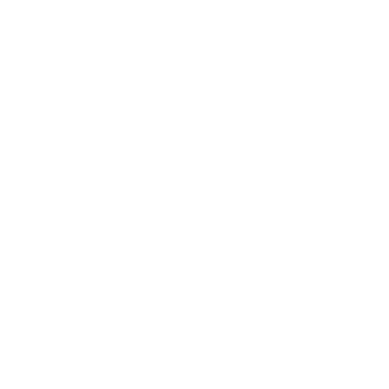 FLSI white logo png