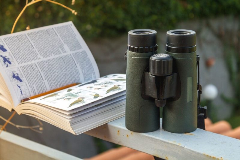 Photo of binoculars and bird watching guide book.