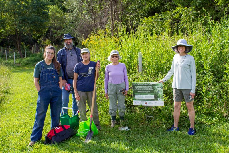 Carol Davis (at far left) has been leading service projects once a month since May for volunteers, many of whom are from the NRV Master Naturalists, to aid in restoring the ecology of the Town of Blacksburg's Heritage Park. Photo by Felicia Spencer for Virginia Tech.