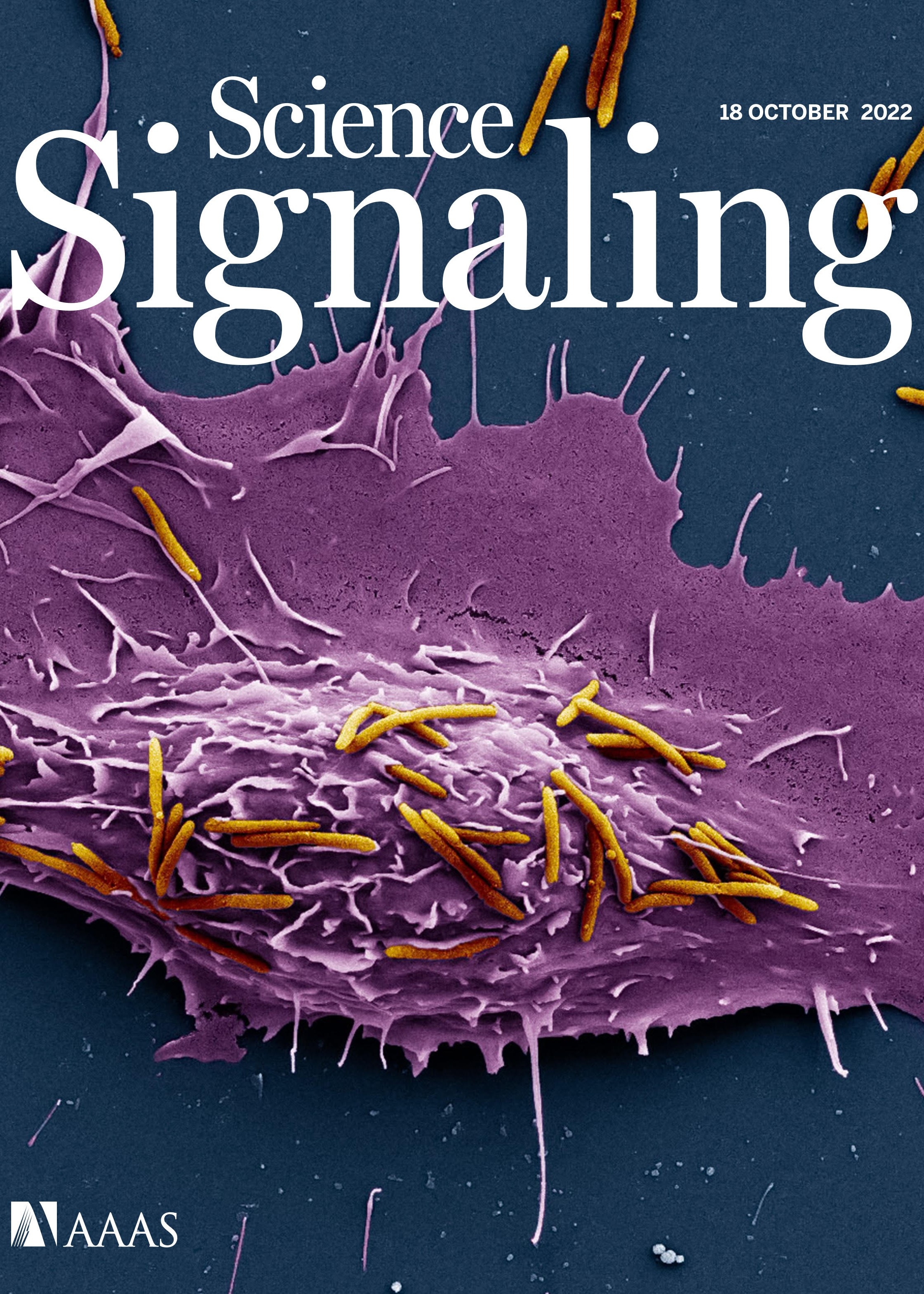 Science Signaling journal cover