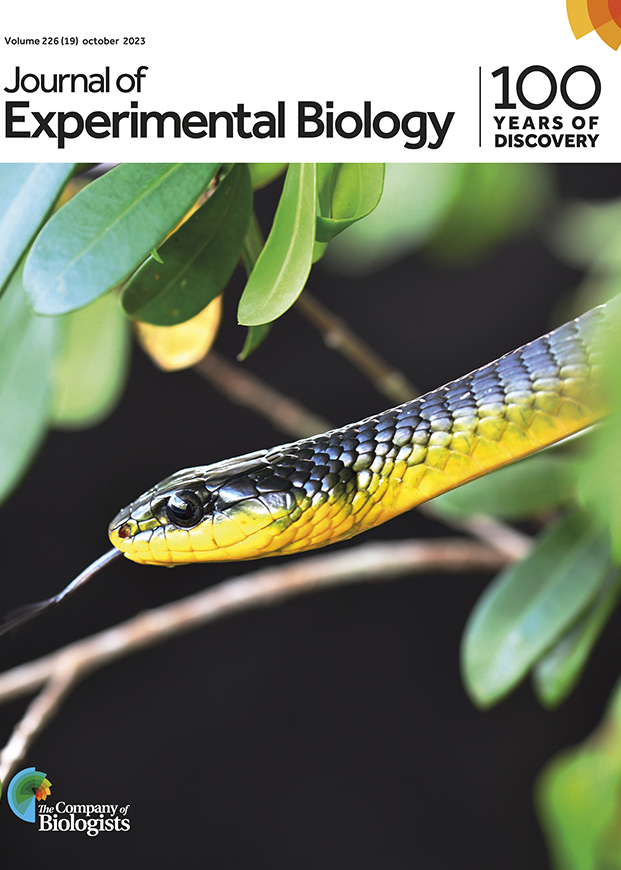 Journal of Experiemental Biology cover