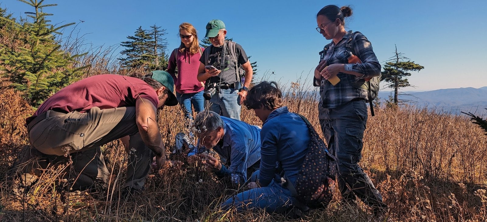Students and faculty engage in transdisciplinary research and graduate training in environmental restoration at Virginia Tech