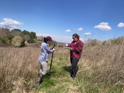 Invasive Species Collaborative