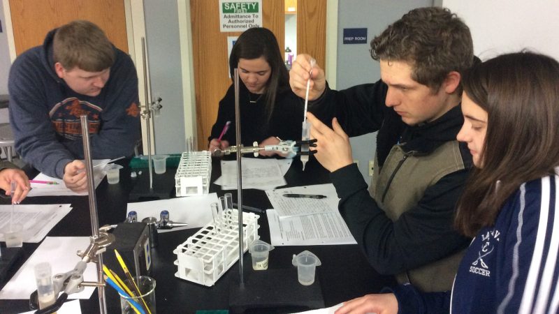 Students work with the column chromatography kits.