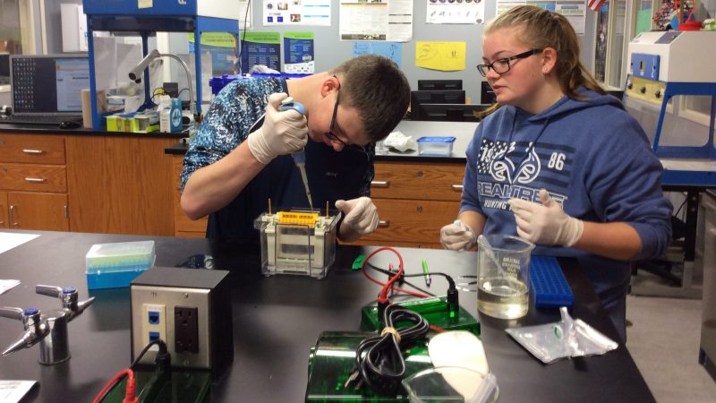 Students work with the protein kits.