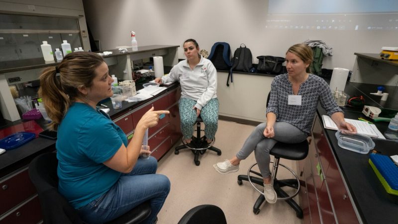 Science teachers from across the commonwealth participated in a three-day workshop at Virginia Tech. They had a chance to explore the five kits loaned out through the Biotech in a Box program, as well as network with their peers. Photo by Clark DeHart for Virginia Tech.