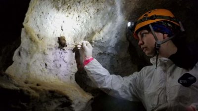Macy Kailing studies bat habitats with a miner's light.