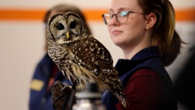 Video: Feathered friends visit ornithology class