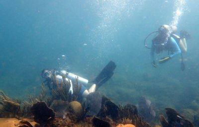 Chemistry’s Emily Mevers utilizes marine egg masses for medical innovations