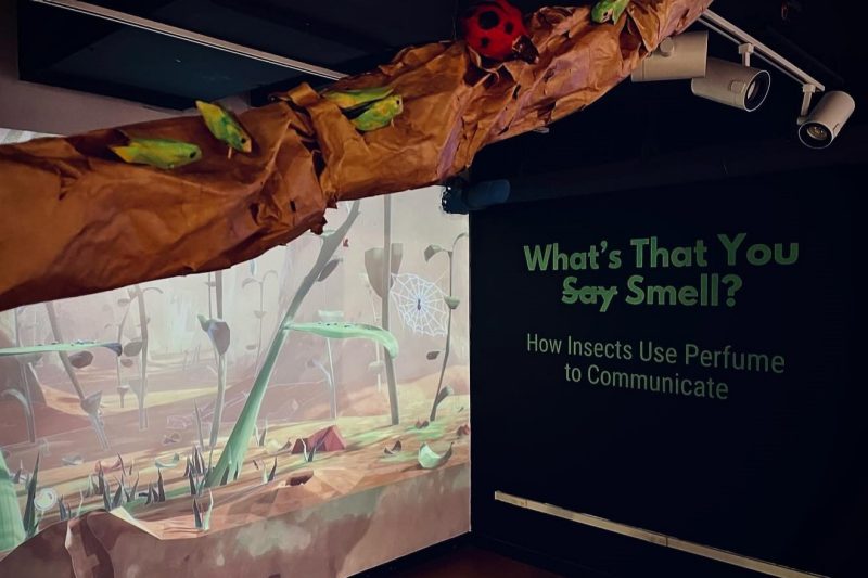 The "What's That They [Say] Smell?" exhibit at the Science Museum of Western Virginia.