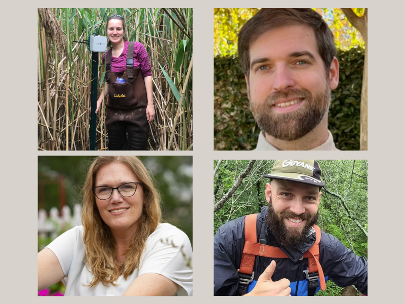 Collage of the four new cluster-hire faculty for the Invasive Species Collaborative.