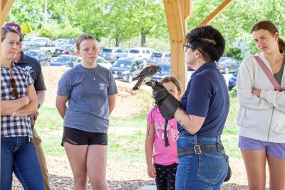 This image shows a representative of the Southwestern Virginia Wildlife Center showing families an American Kestral.