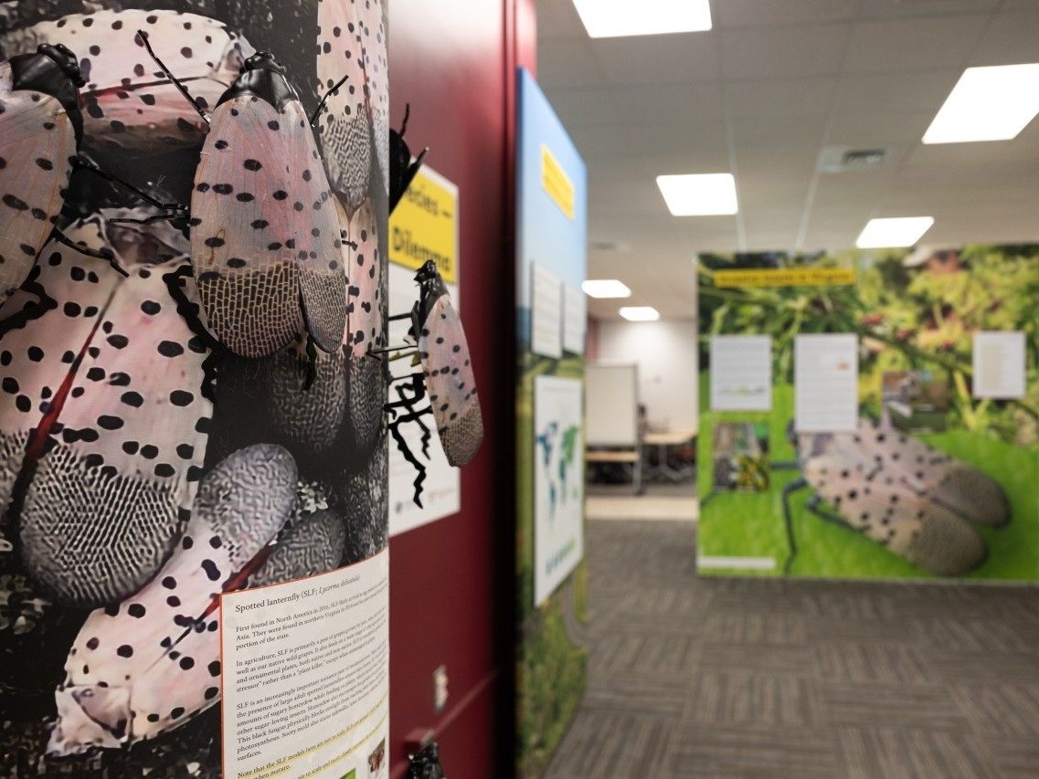 The exhibit "Invasive Species — A Global Dilemma" is in the second floor of Newman Library. Photo by Chase Parker for Virginia Tech. library/magazine