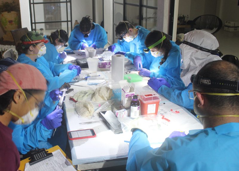 Students work on a series of bat samples during their field work in Colombia.