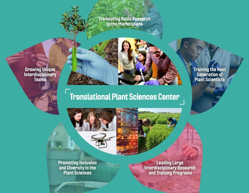Translationa Plant Science Graphic in the form of a Flower