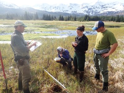 This photo shows researchers in an Alaskan lagoon area with snow covered mountains in the background